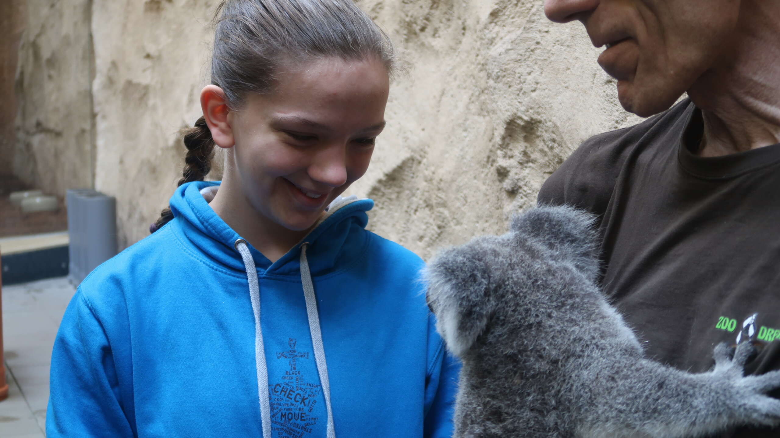 Lächelndes Mädchen in blauem Hoodie betrachtet einen Koala, der von einem Zoomitarbeiter gehalten wird.
