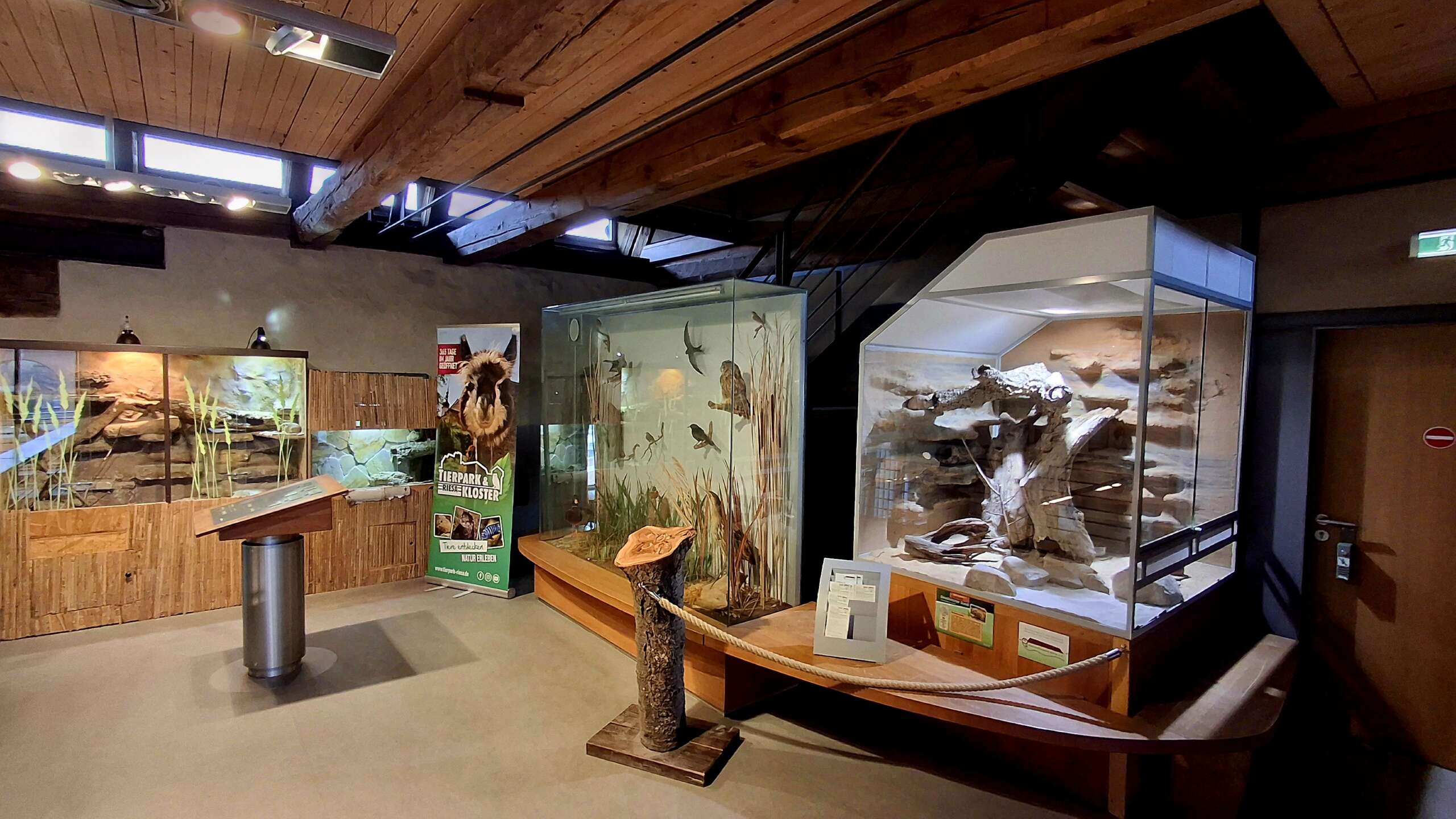 Naturkundemuseum-Ausstellungsraum mit Dioramen heimischer Tiere in Glasvitrinen und einem Tierpark-Kloster-Aufsteller.